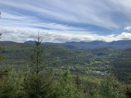 IMG_5900.jpg, janv. 2021