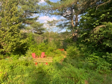 IMG_9492.jpg, juin 2021